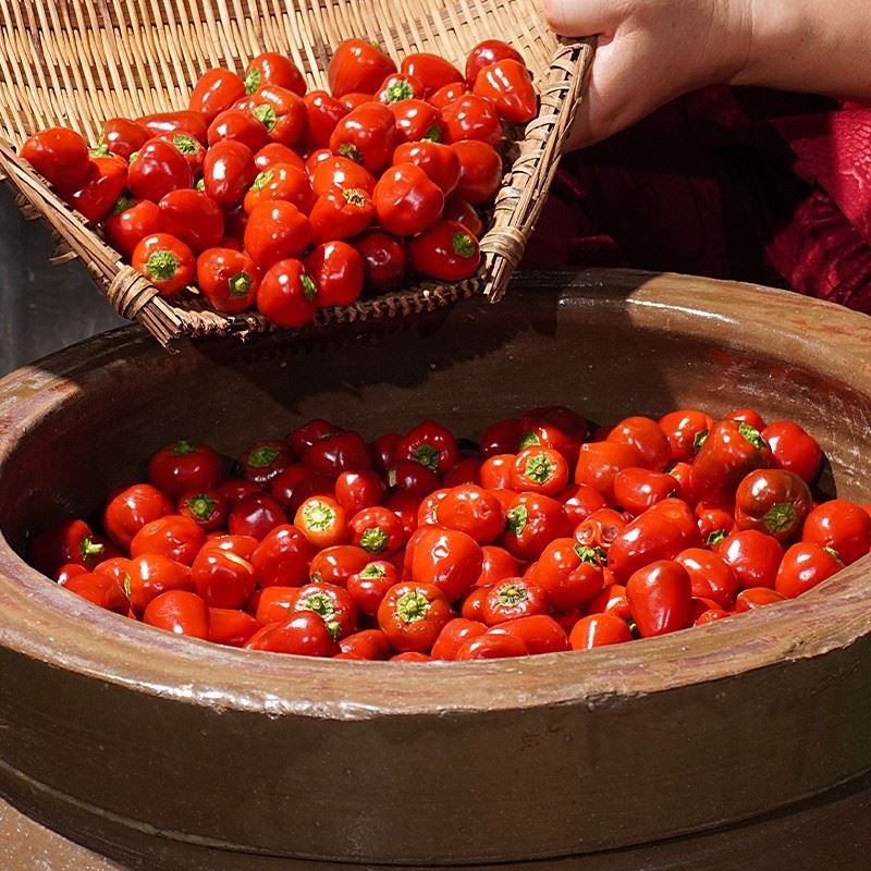 Pickled Red Bell Peppers Pickled Red Bell Peppers