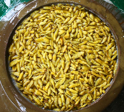 product-500-452 product-500-452