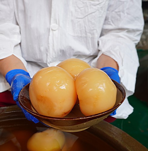 product-490-500 product-490-500