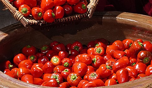 product-490-285 product-490-285