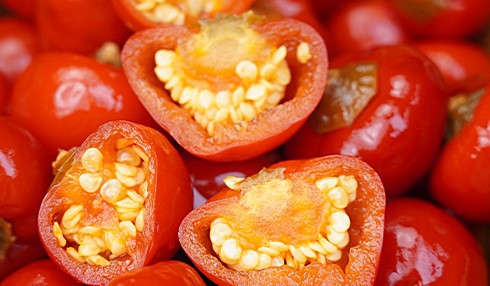 product-490-286 product-490-286