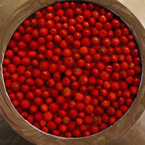 product-500-500 product-500-500