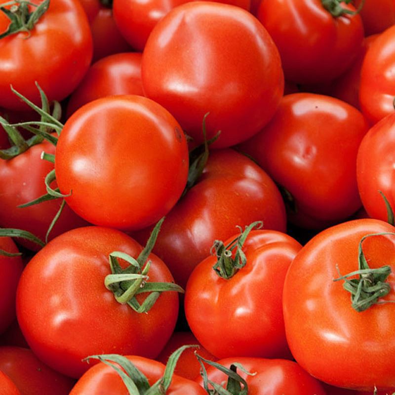 Tomato Hot Pot Soup Tomato Hot Pot Soup